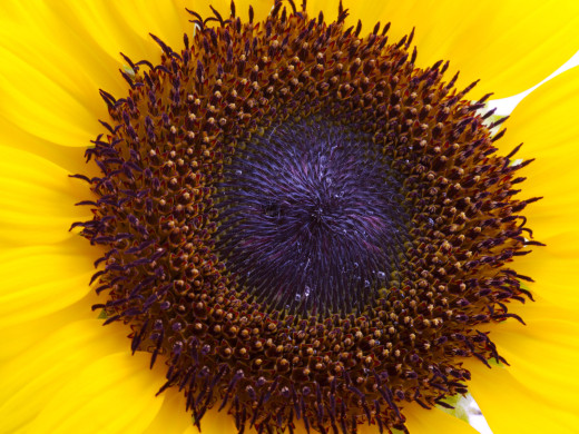 425876 (a): :1600x1200